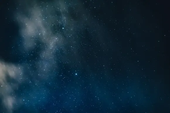 Casino Wicked Jackpots Stuðningur